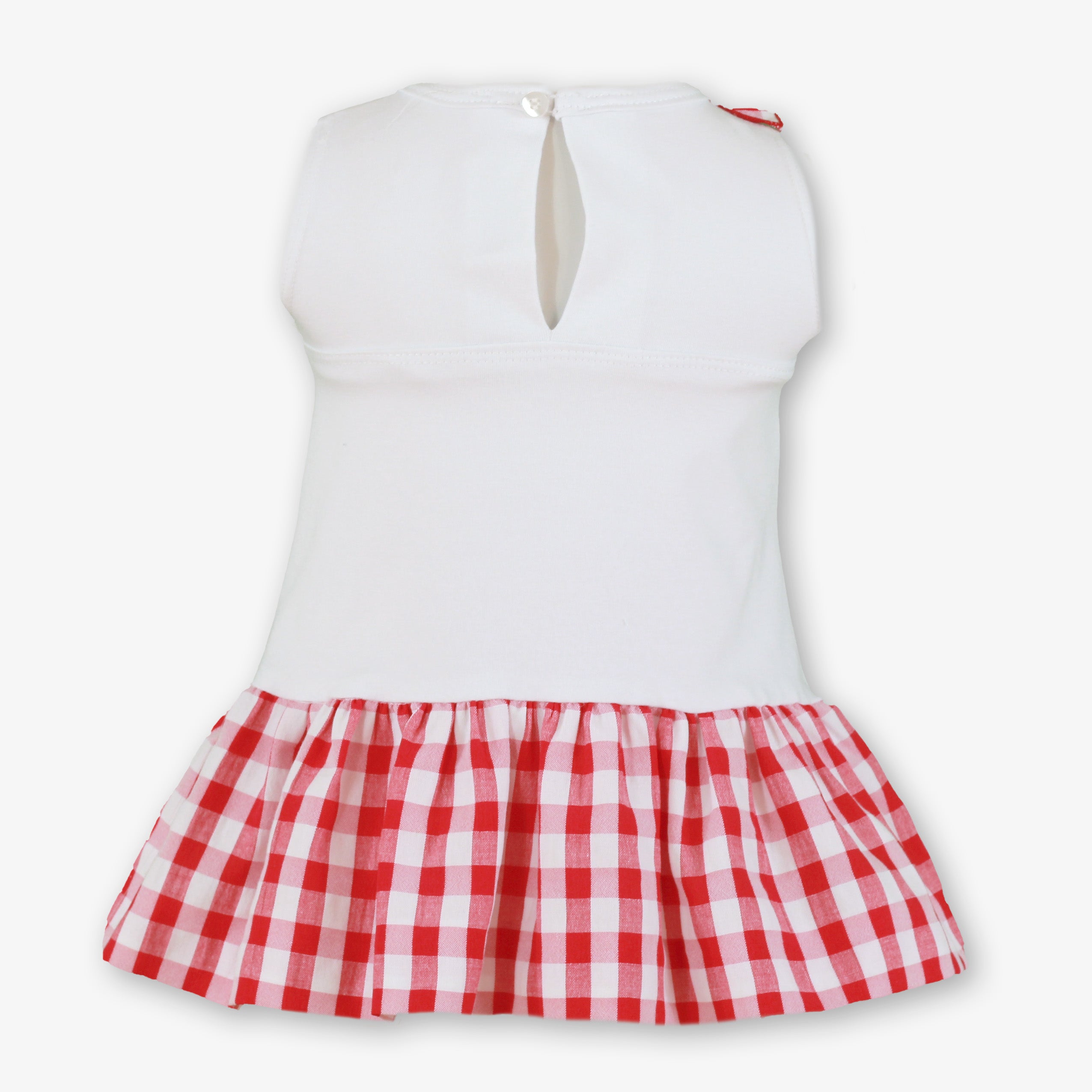 MIRANDA Red & White Gingham Girls Drop Waist Dress - 517V