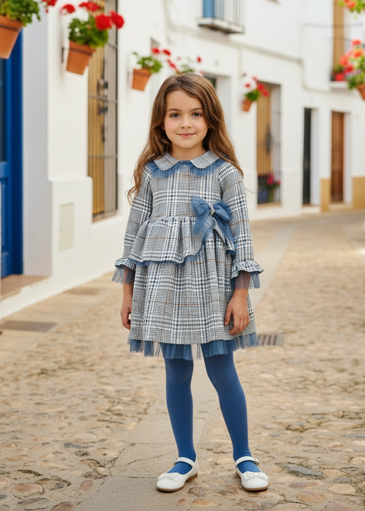 BASMARTI Blue Check Dress - updated shoes