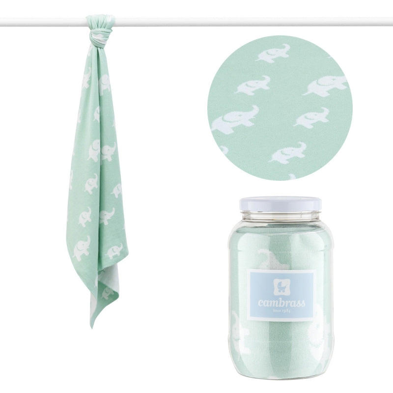 Cambrass Baby Blanket - Mint Elephant 1
